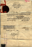 Lily Grobstein birth certificate