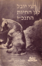 Aharon Shulov book cover