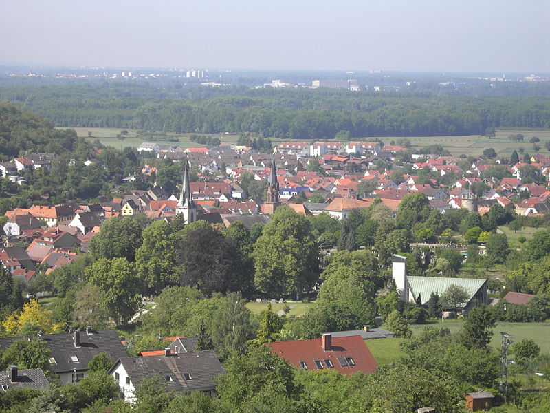 view of Weingarten Baden