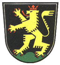 Heidelberg coat of arms