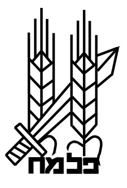 Palmach badge