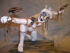 Eagle Dancer