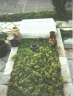 Shelomo Birnboim’s matzevah in Kiryat Shaul Cemetery