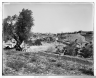 Yerushalayim Solomon’s Pool and Old City 1914 