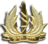 Navy Emblem