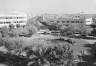 Tel Aviv Dizengoff Circle 1946
