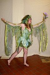 Woodland Fairy 1